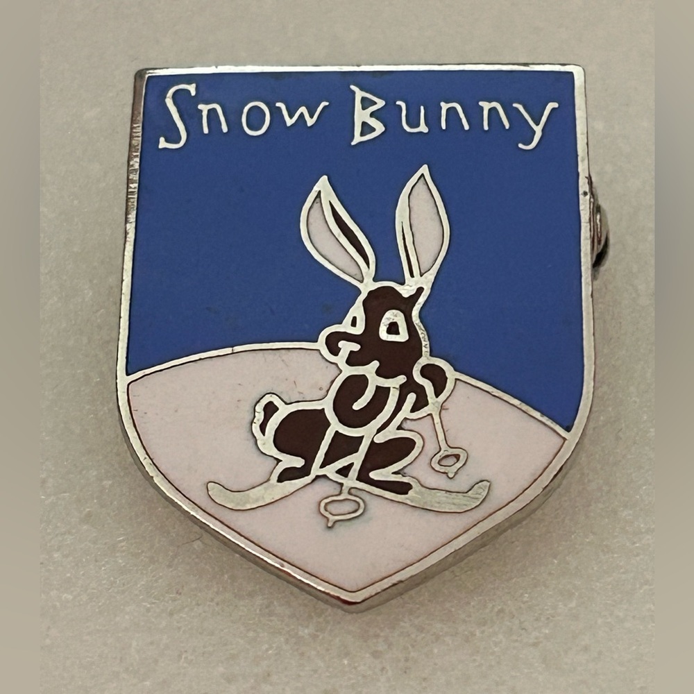 Vintage Snow Bunny Skiing Ski Pin
